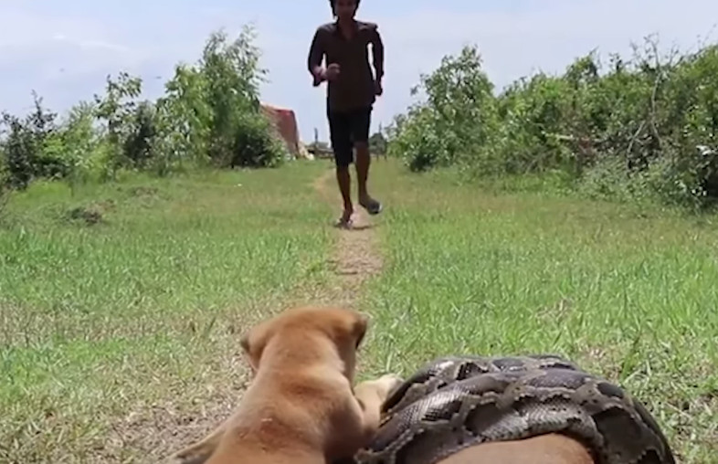 Your thoughts and reflections are welcom...