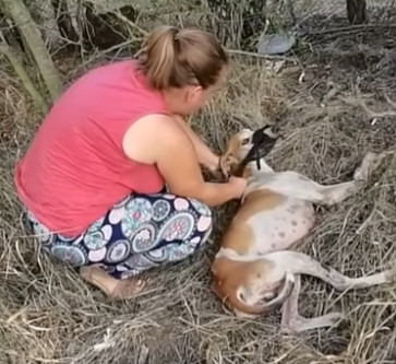 Extra image from article