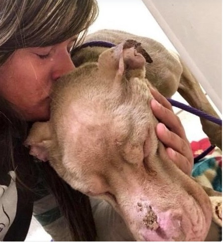 Extra image from article