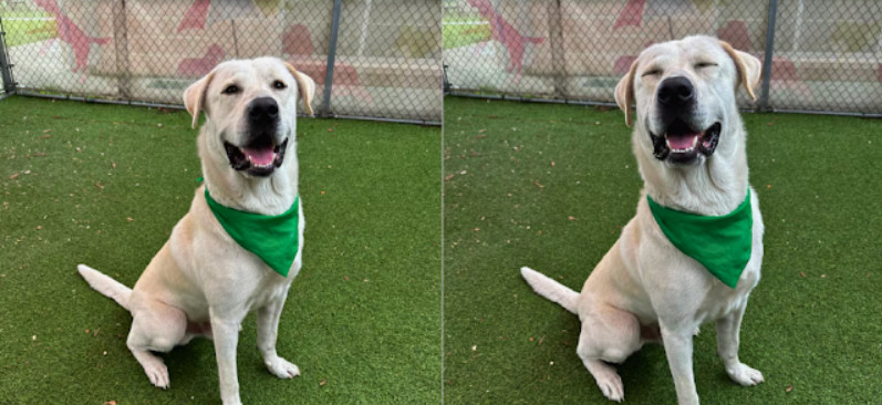 Extra image from article