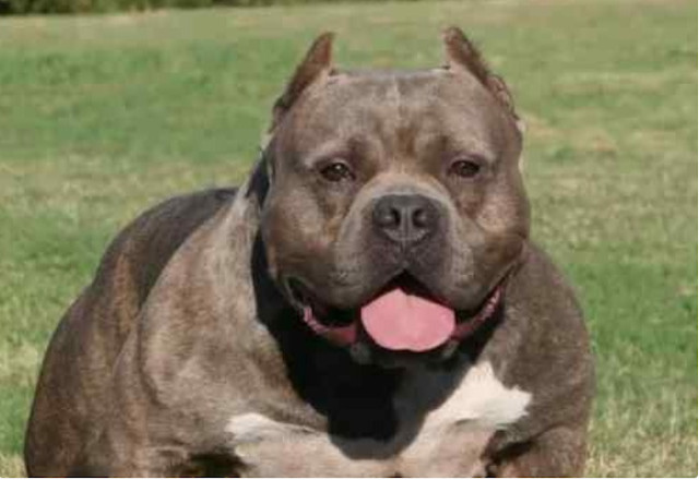 This celebration was more than just a pa...