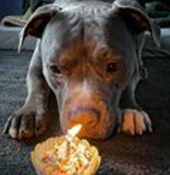 Extra image from article