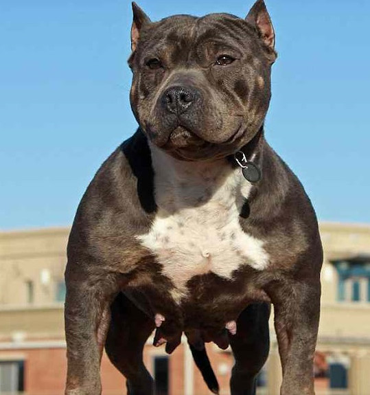 Extra image from article