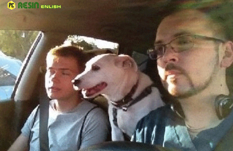 Extra image from article