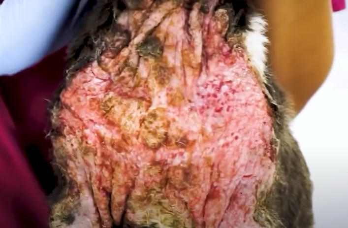 Amid these moving stories of perseveranc...