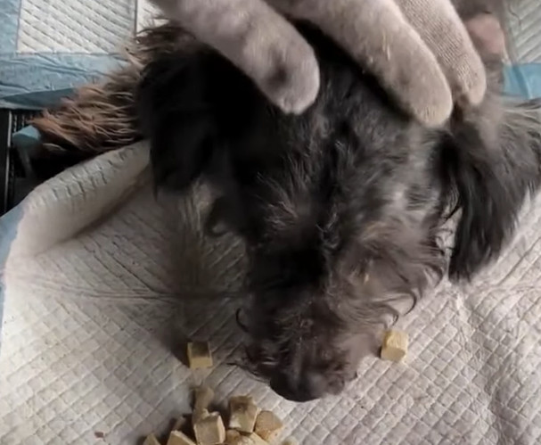 Extra image from article