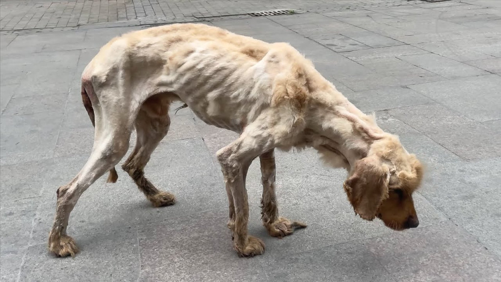 When we reached the scene, the severity ...