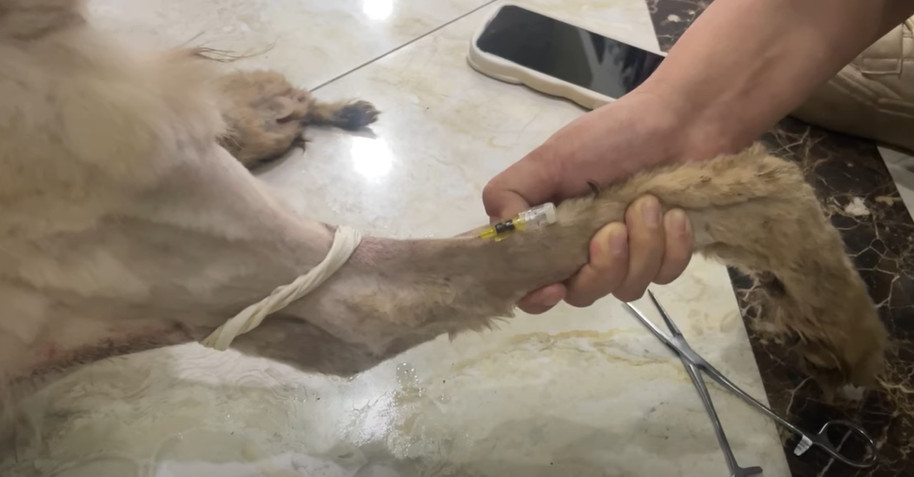 Extra image from article