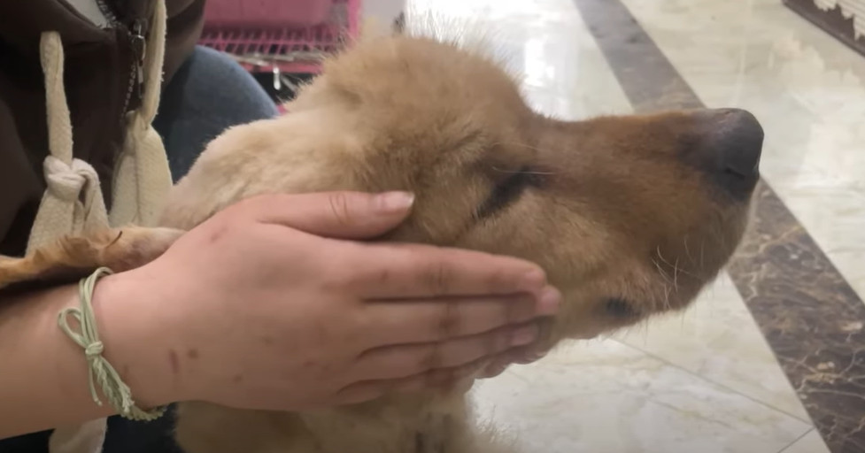 Extra image from article