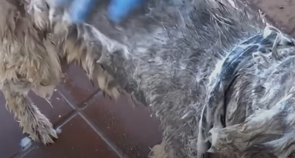 Reflecting on this miraculous reconnecti...