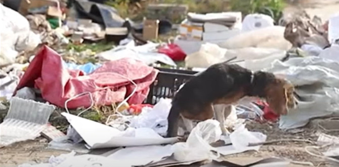 The road to recovery was slow, needing t...