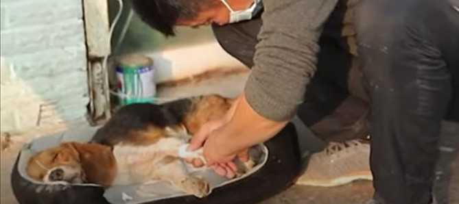 Extra image from article