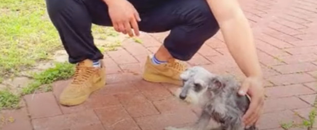 Today, after two months of round-the-clo...