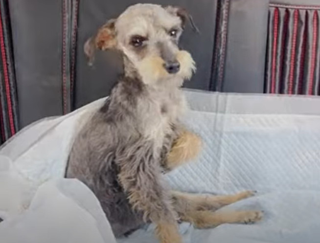 This experience has underscored that hea...