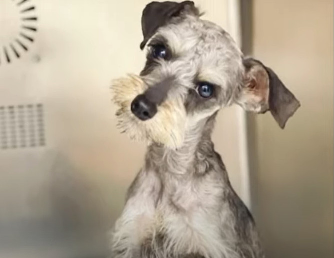 Extra image from article