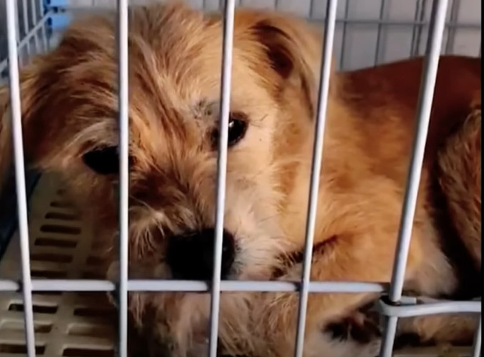 This journey from despair to hope has re...