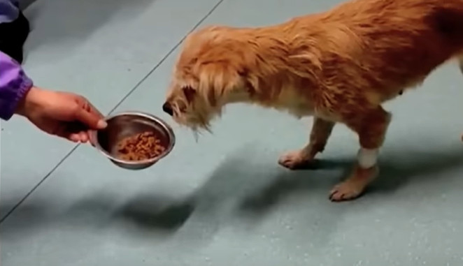 Extra image from article