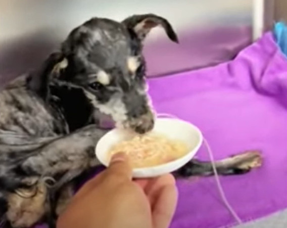 Extra image from article