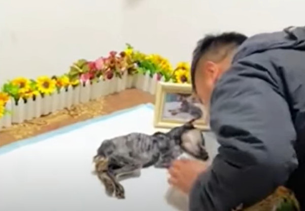 Extra image from article