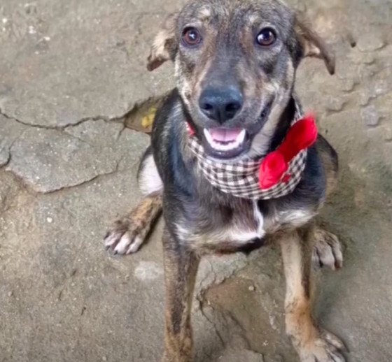 After three months of careful rehabilita...