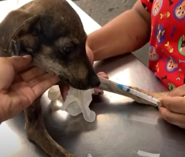 Extra image from article