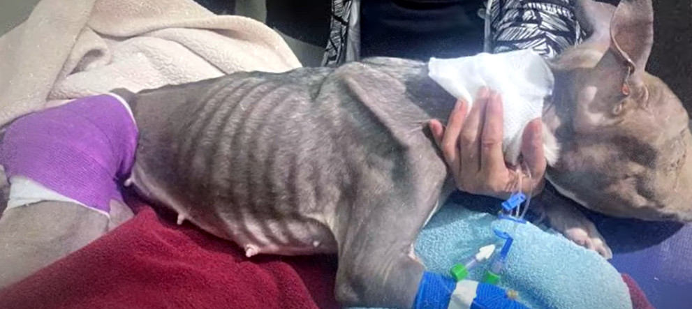 Through sharing this story, there's a re...