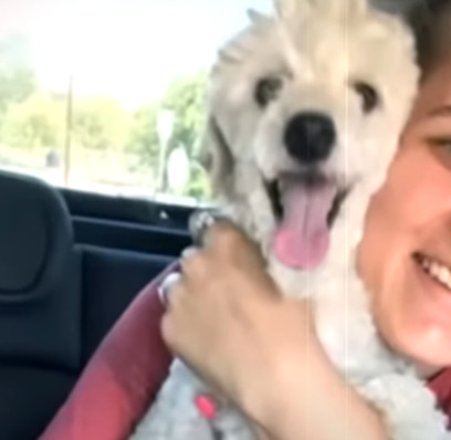 Extra image from article