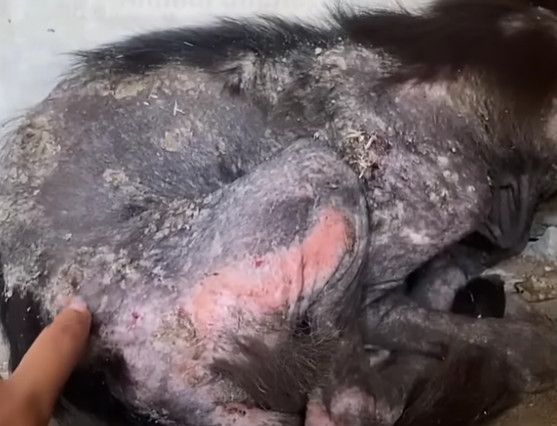 Extra image from article