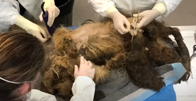 Despite her initial hardships, Ellie Mae...