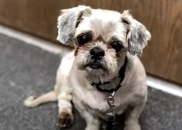 Extra image from article