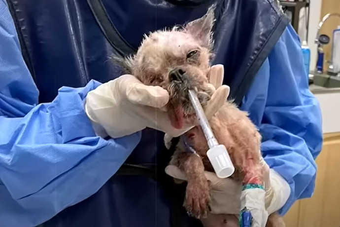 Extra image from article