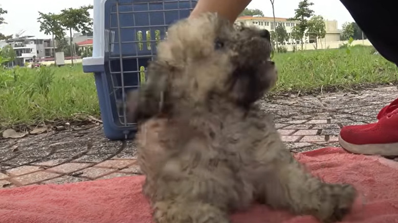 Her indomitable spirit stayed intact. Me...