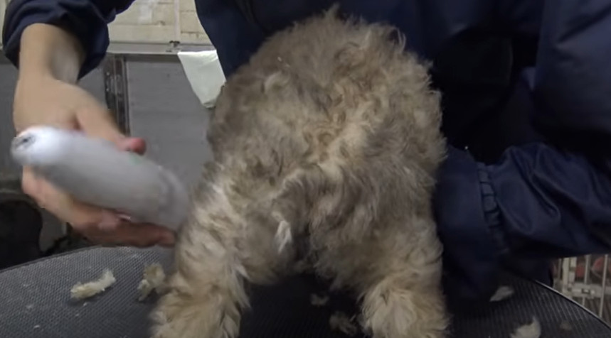 The Brandt family treasures every moment...