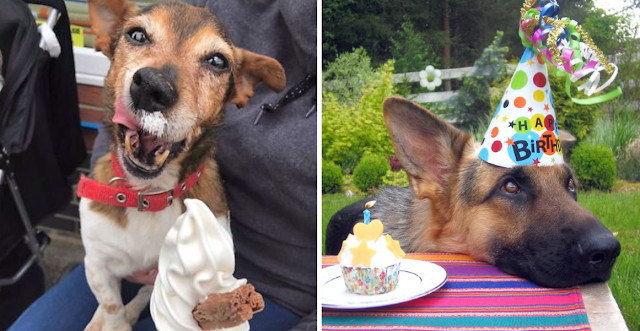 With limited resources at her disposal, ...