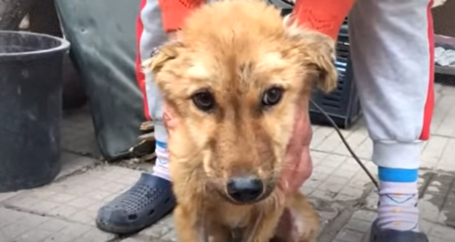 Extra image from article