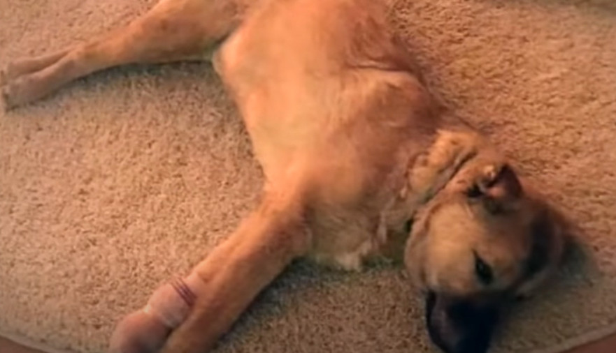 Extra image from article