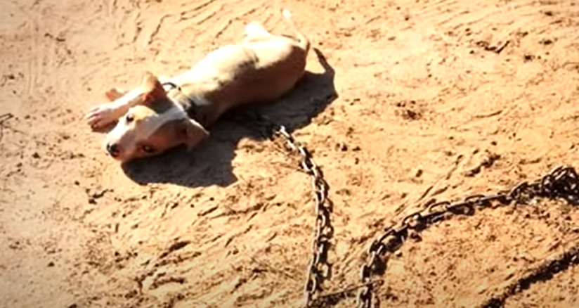 Following a thorough legal process to br...