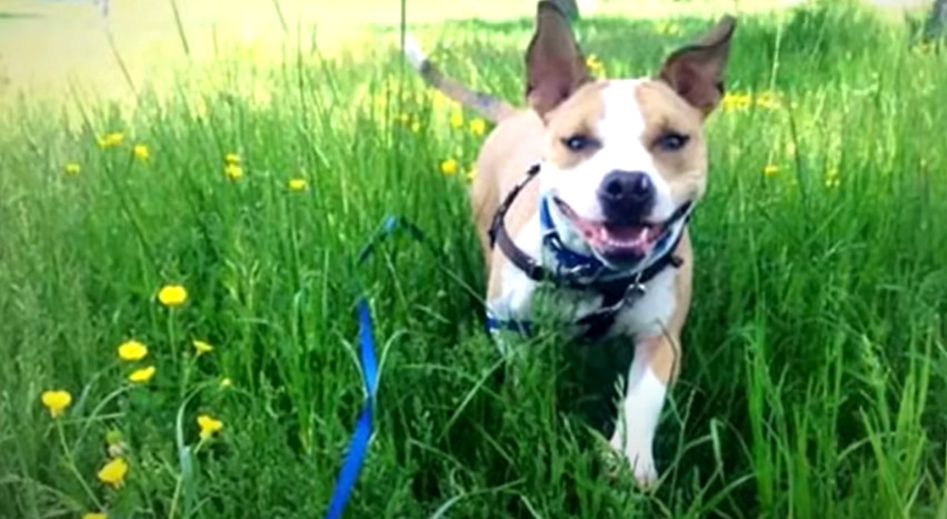 Extra image from article