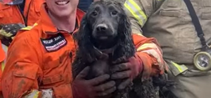 Winston’s story isn't just about surviva...