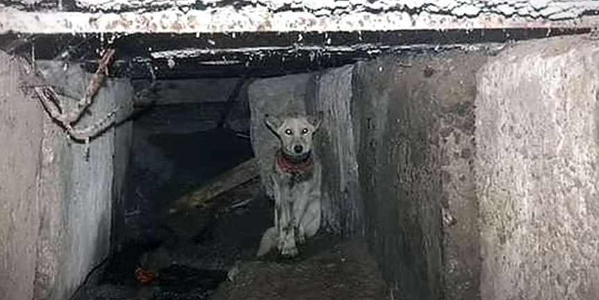 After her surgery, the volunteers sought...