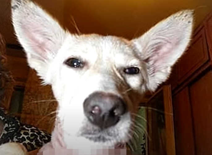 Jar’s journey underscores the striking d...