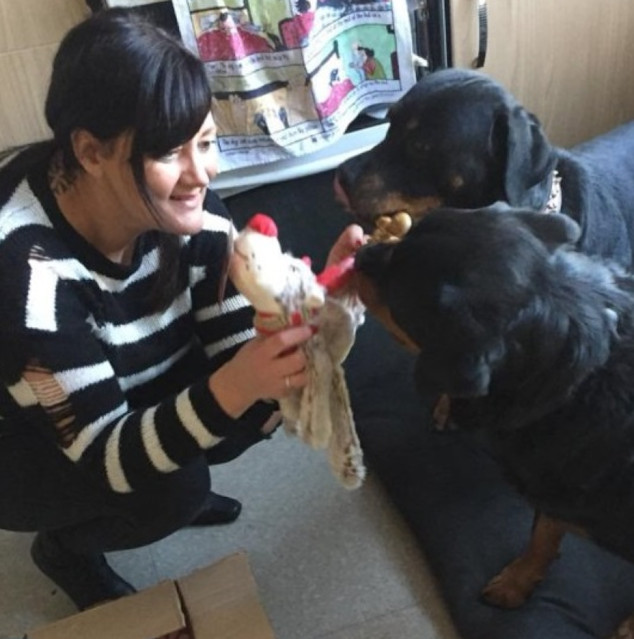 Extra image from article