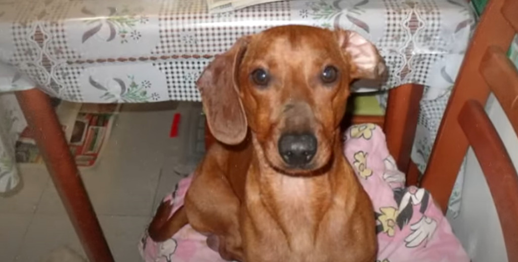 Extra image from article