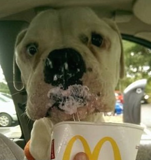 Extra image from article