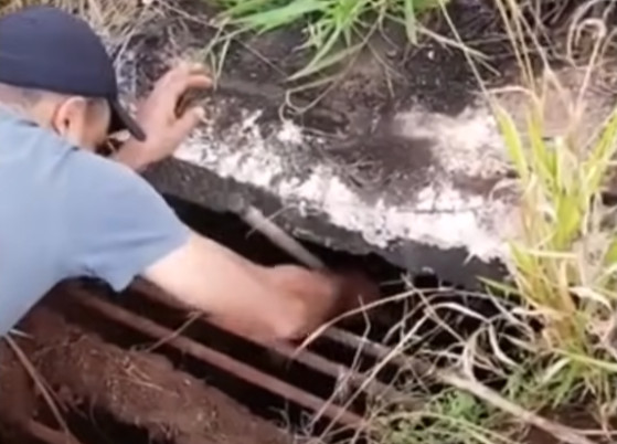 Understanding that Vena had a long road ...