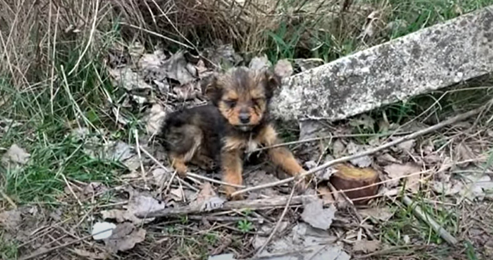 Six months after their initial meeting, ...