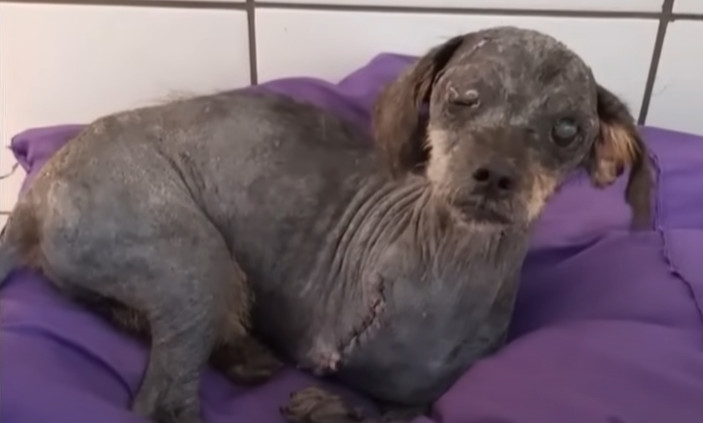 Extra image from article