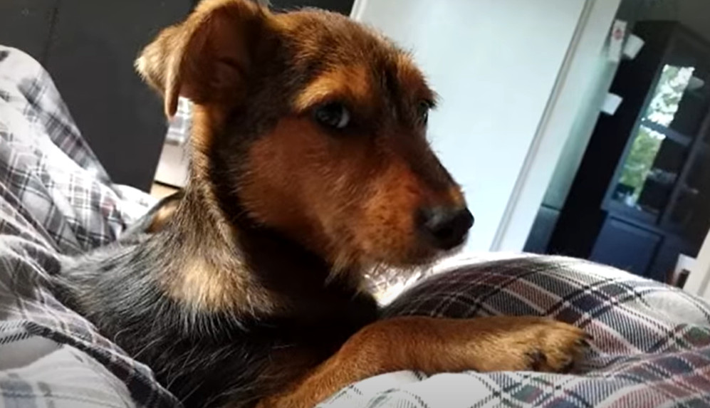 Extra image from article