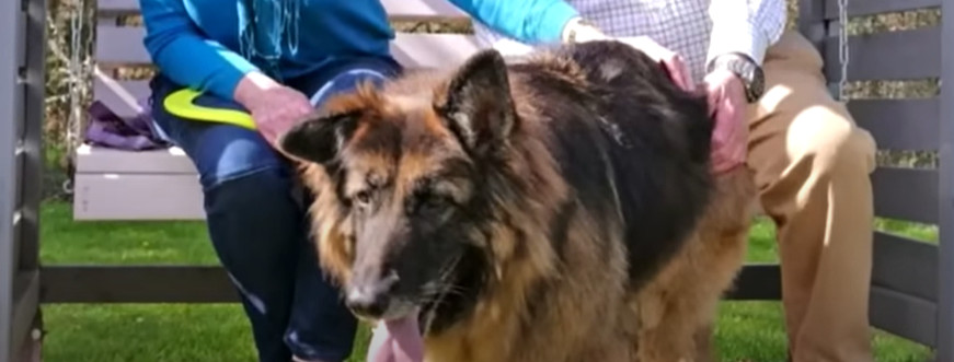 Bella’s journey has touched hearts world...