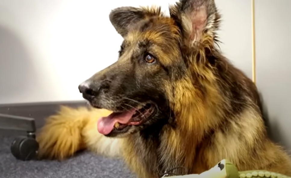 Extra image from article